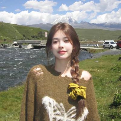 妙探机灵狗